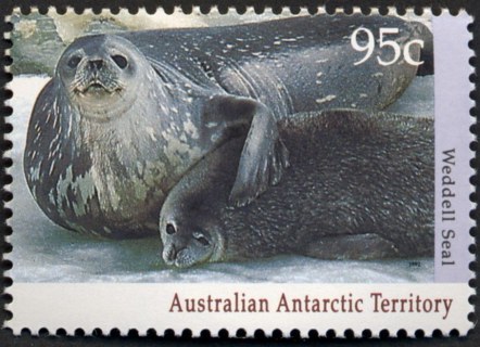 AAT-1992-Antarctic-Wildlife-95-cent-Multi-P14-x-14-5-AAT-Weddell-seal