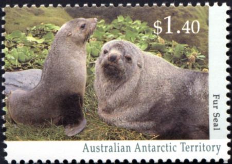 AAT-1993-Antarctic-Wildlife-1-4-dollar-Multi-P14-x-14-5-AAT-Fur-seal