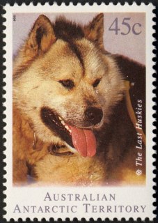 AAT-1994-Departure-of-Husky-Dogs-from-Antarctica-45-cent-Multi-P14-50-AA-T-Head-of-Husky-SGA104