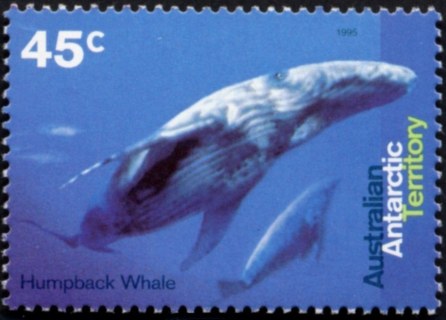 AAT-1995-Whales-and-Dolphins-45-cent-Multi-P14-50-AAT-Humpback-whale