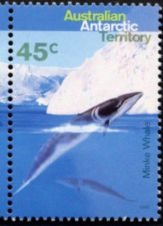 AAT-1995-Whales-and-Dolphins-45-cent-Multi-P14-50-AAT-Pair-of-Minke-whales