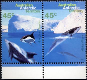 AAT-1995-Whales-and-Dolphins-45-x-2-cent-Multi-P14-50-AAT-Pair-SGA109a