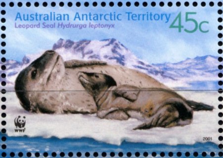 AAT-2001-Centenary-of-Australia-in-Antarctic-45-cent-Multi-P13-86-x-14-6-AAT-Female-seal-and-pups