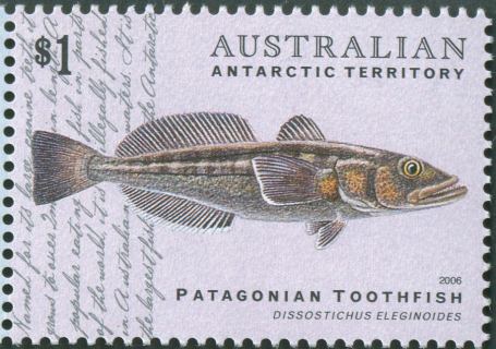 AAT-2006-Fish-of-the-Australian-Antarctic-Territory-1-dollar-Multi-P13-86-x-14-6-AAT-Patagonian-toothfish-Dissostichus-eleginoides-on-pale-grey-background