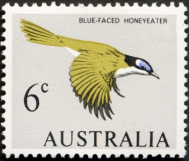 Australia-1966-Blue-faced-Honeyeater-6-cent-olive-yellow