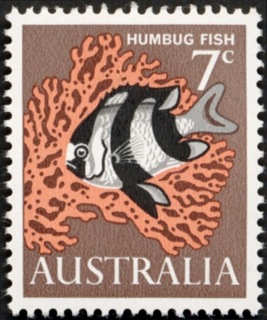 Australia-1966-Humbug-Fish-7-cent-black