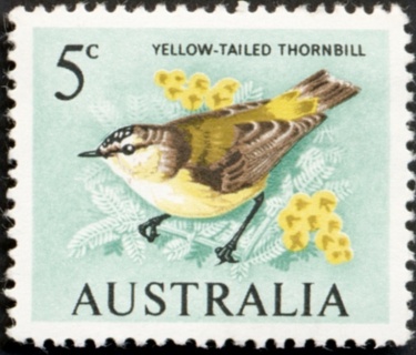 Australia-1966-Yellow-tailed-Thornbill-5-cent-brown