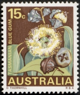 Australia-1968-State-Floral-Emblems-15-cent-Multi-P13-50-Tasmanian-Blue-Gum