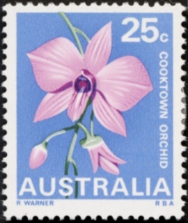 Australia-1968-State-Floral-Emblems-25-cent-Multi-P13-50-Cooktown-Orchid