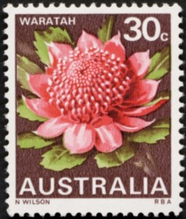 Australia-1968-State-Floral-Emblems-30-cent-Multi-P13-50-Waratah