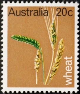 Australia-1969-Primary-Industries-20-cent-Multi-P13-50-Wheat-SG442