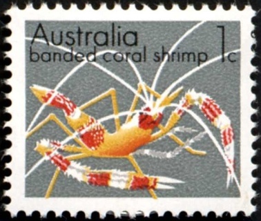 Australia-1973-Marine-Life-Gemstones-1-cent-Multi-P14x15-Banded-Coral-Shrimp