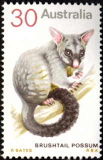 Australia-1974-Animals-30-cent-Multi-P14x145-Animal