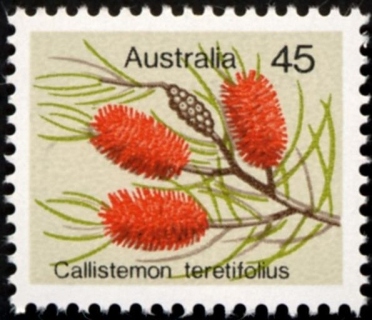 Australia-1975-Wild-flowers-45-cent-Multi-P14x15-Callistemon-teretifolius