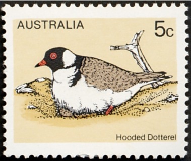 Australia-1978-Birds