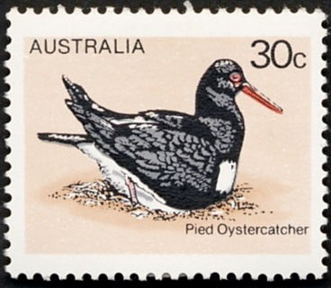 Australia-1978-Birds_2