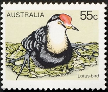 Australia-1978-Birds_3