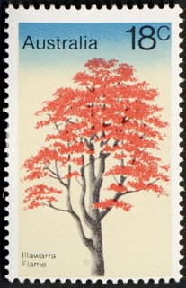 Australia-1978-Trees-of-Australia-18-cent-Multi-P14x15-Plant-Illawarra-Flame-tree