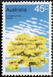 Australia-1978-Trees-of-Australia-45-cent-Multi-P13-50-Plant-Cootamundra-wattle