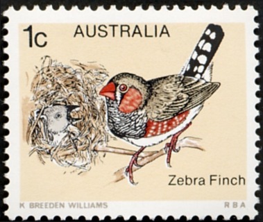 Australia-1979-Birds