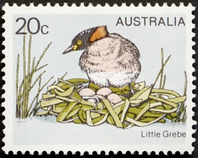 Australia-1979-Birds_3