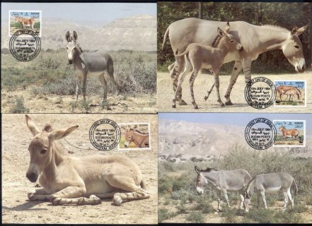 Sudan-1994 African Wild Ass Maxicards