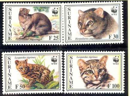 Surinam-1995 WWF Spotted Cat