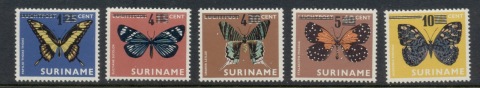 Surinam-1977-Insects