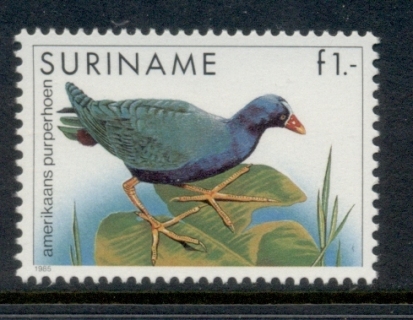 Surinam-1985-95-Birds