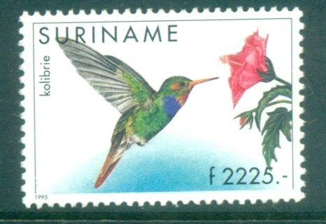 Surinam-1985-95-Birds_6-2