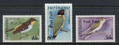 Surinam-1994-Birds