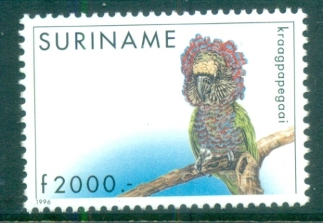 Surinam-1996-Birds