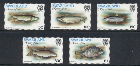 Swaziland-1980-Freshwater-Fish-MUH