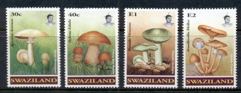 Swaziland-1994-Funghi