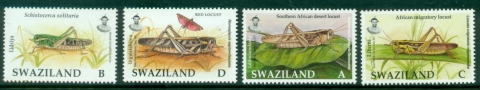 Swaziland-2006-Insects-Locusts-MUH