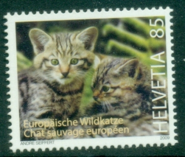 Switzerland-2009-European-Wildcat-MUH