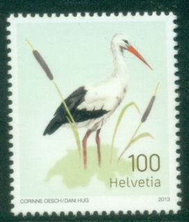 Switzerland-2013-Birds-White-Stork-MUH