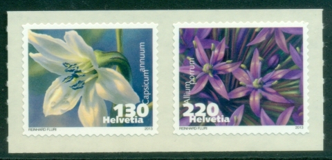 Switzerland-2013-Flora-Flowering-Plants-MUH
