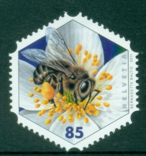 Switzerland-2011-Insects-Honey-Bee-MUH