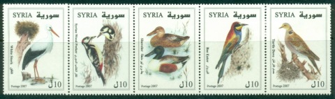 Syria-2007-Syrian-Birds-MUH