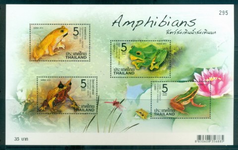 Thailand-2014-Amphibians