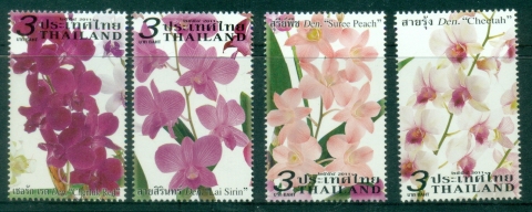 Thailand-2011-Flowers-Orchids-MUH