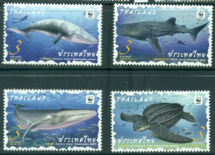 Thailand-2019-WWF-Protected-Marine-Animals-MUH