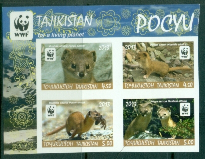 Tajikistan-2013-WWF-Altai-Weasel-IMPERF-MUH