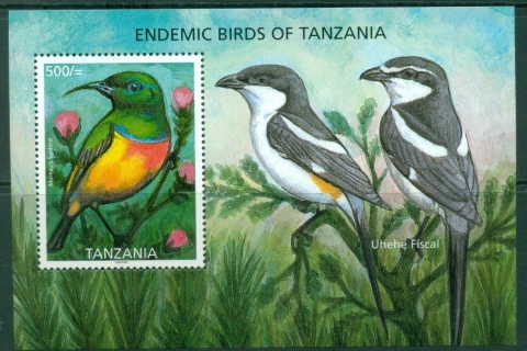 Tanzania-2006-Endemic-Birds-of-Tanzania-MS-MUH_2