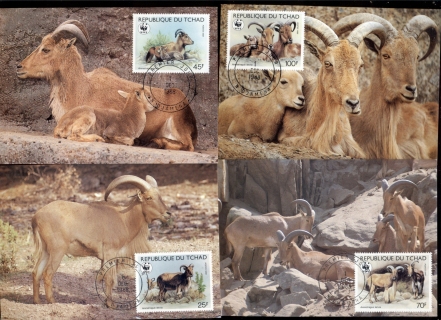 Chad 1988 WWF Barbary Sheep 4xMaxicard