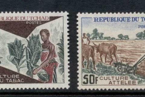 Chad 1972 Tobacco Cultivation