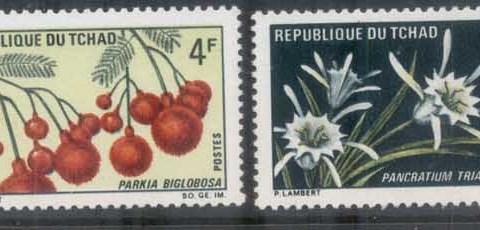 Chad-1969-Flowers-MUH