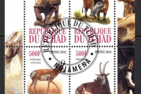 Chad-2010-African-Wildlife