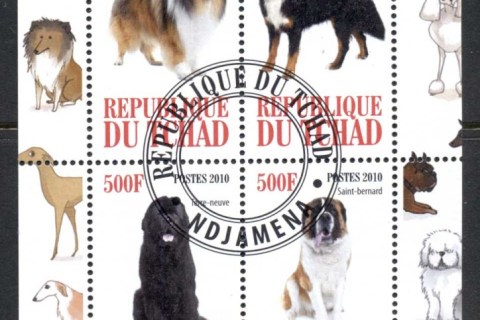 Chad-2010-Dogs-MS-CTO